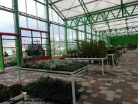 Imagine atasata: Glissando Garden Center - 2015.04.18 - 02.jpg